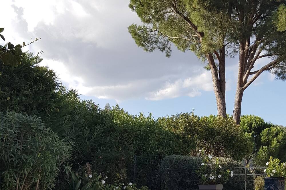 Photo of Outdoor in Cogolin