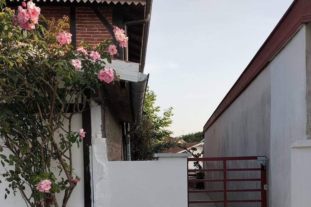 Photo of Outdoor in Herm