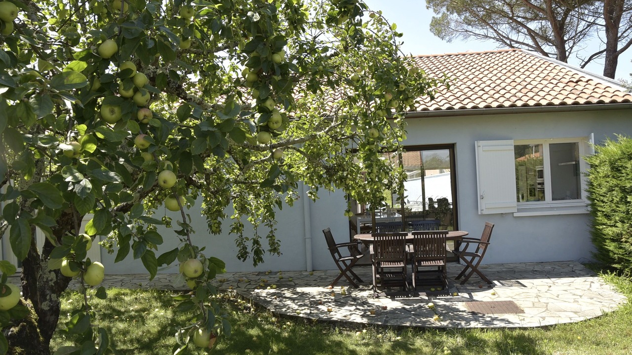 Photo of Outdoor in Gujan-Mestras