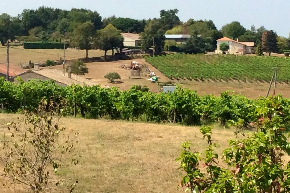 Photo of Outdoor in Mirambeau
