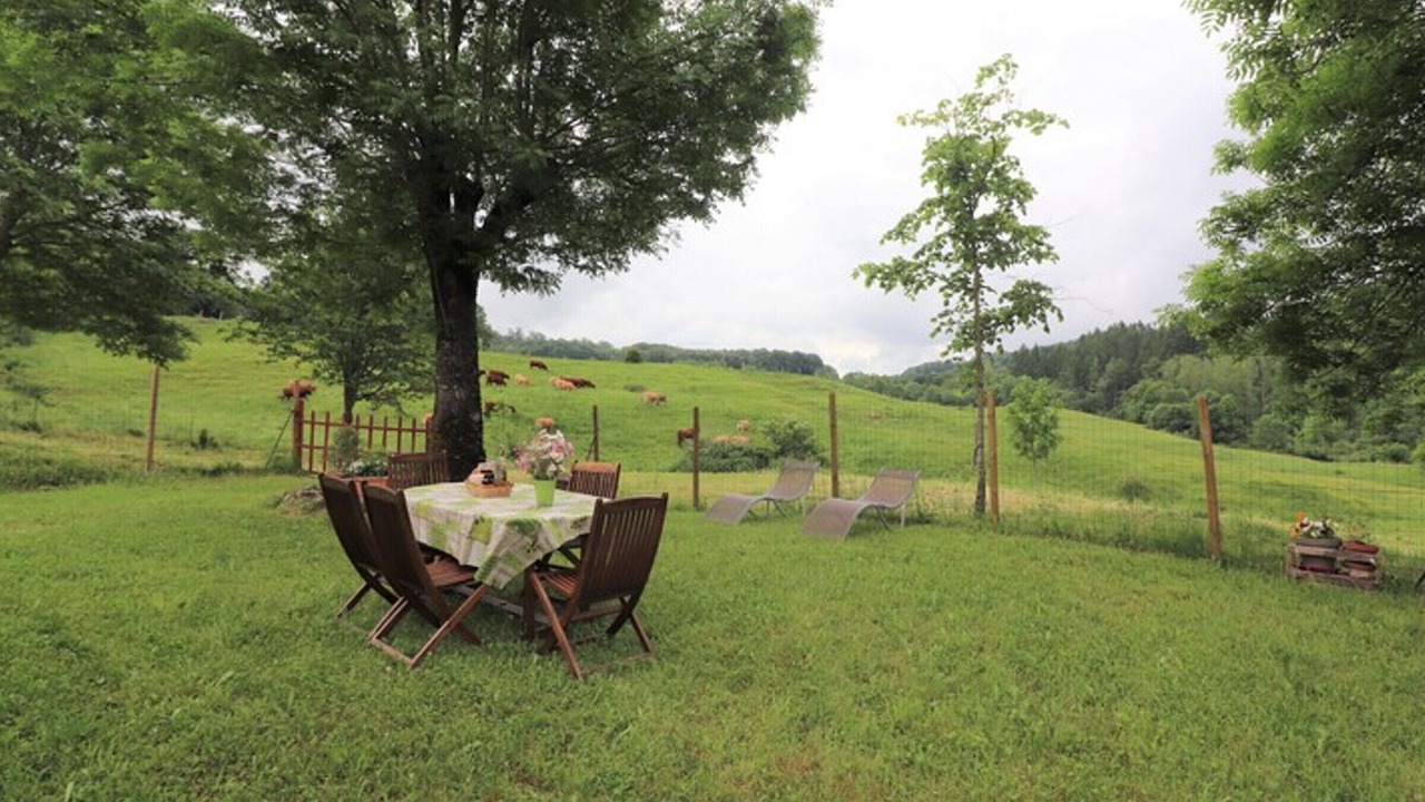 Photo of Outdoor in Drugeac