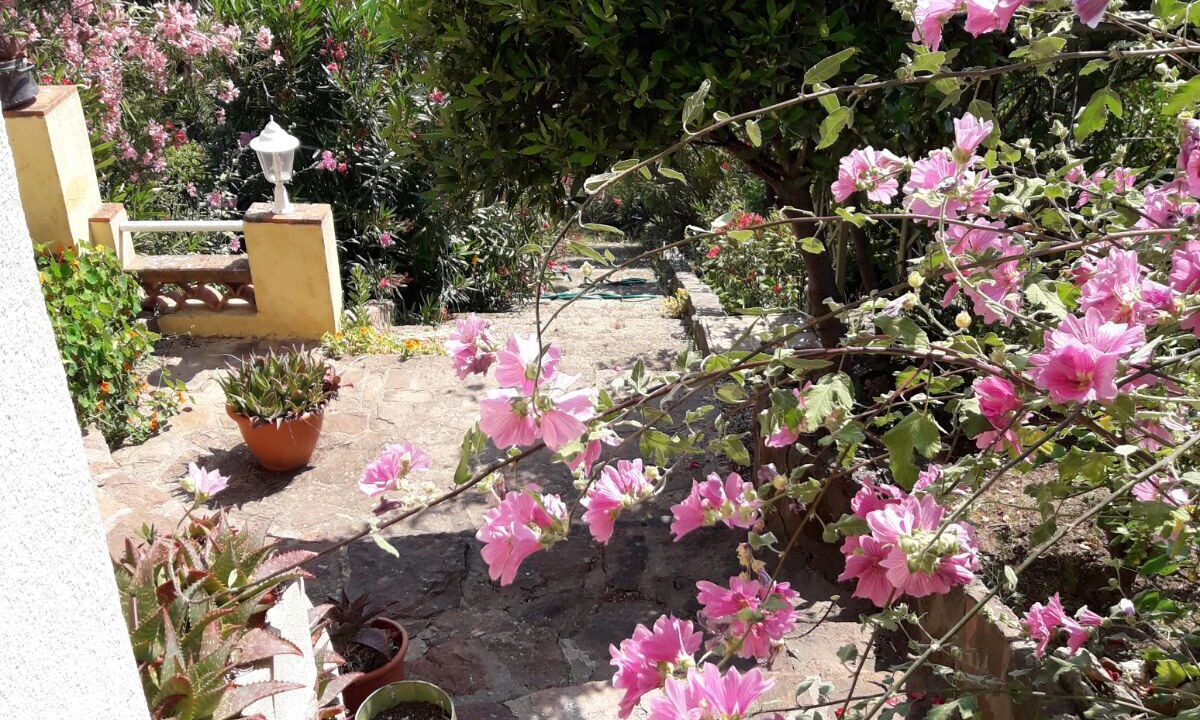 Photo of Outdoor in Espero-Pax