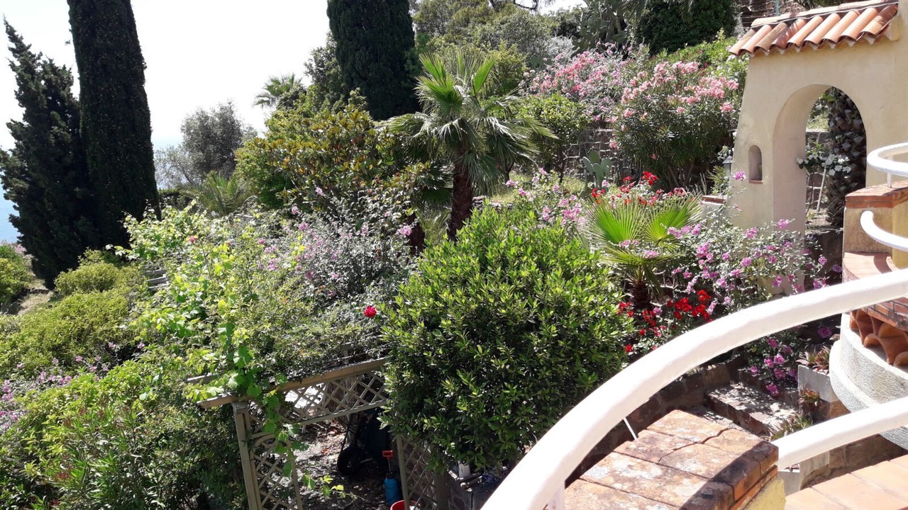 Photo of Outdoor in Espero-Pax