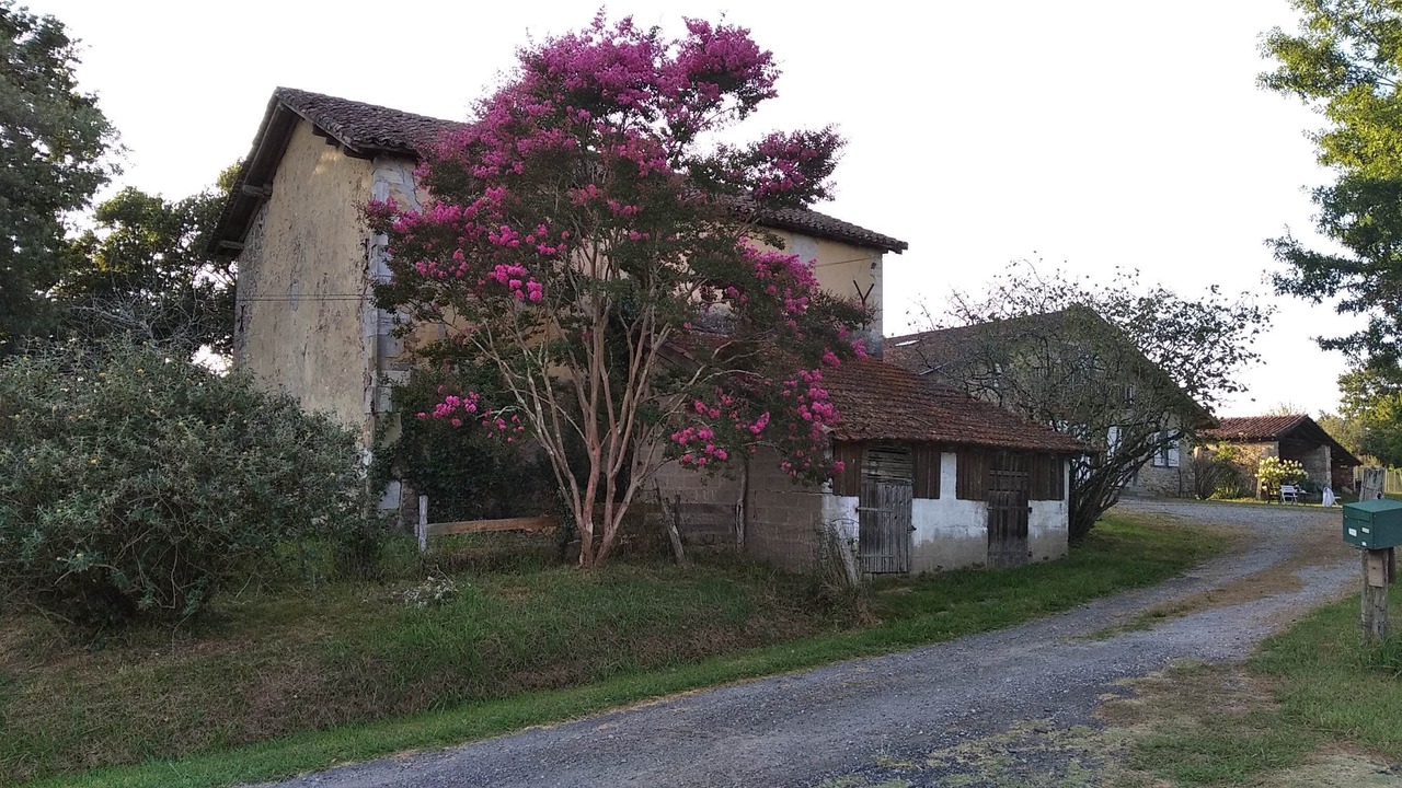 Photo of Buildings in Saugnac-et-Cambran