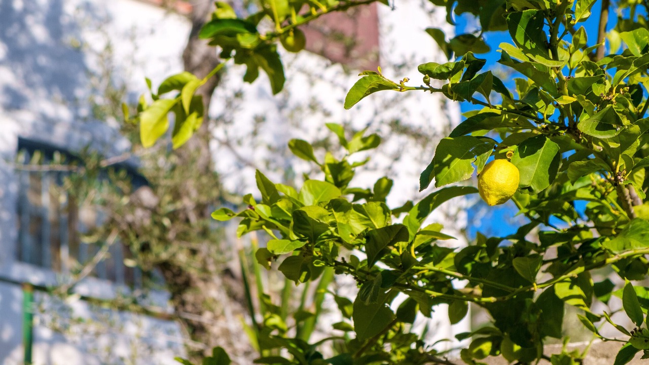 Photo of Outdoor in Peille
