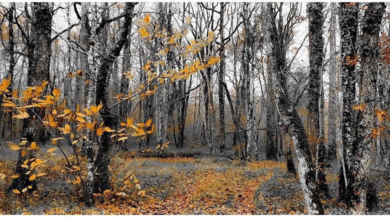 Photo of Outdoor in Saint-Cernin-de-Larche