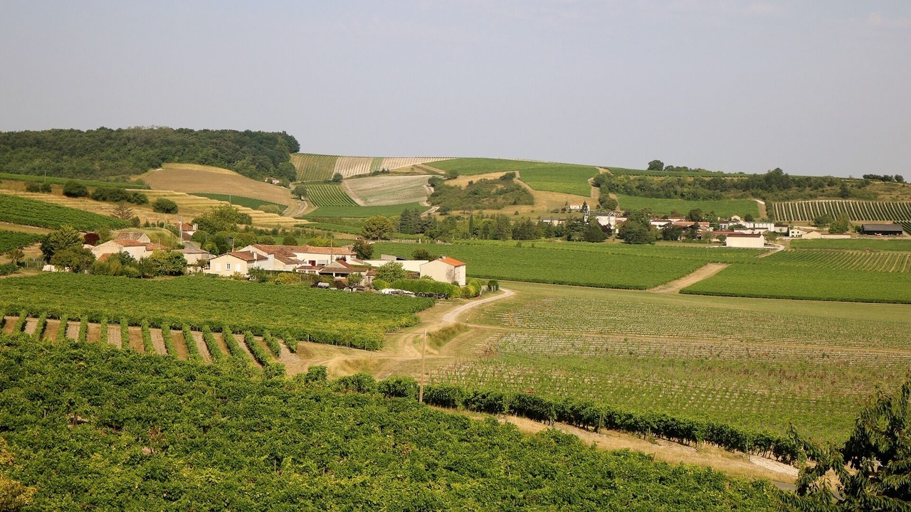 Photo of Others in Cherac