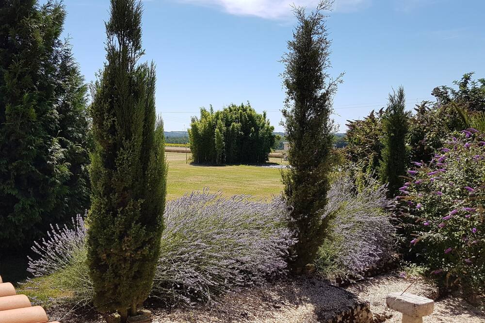 Photo of Outdoor in Sud Charente