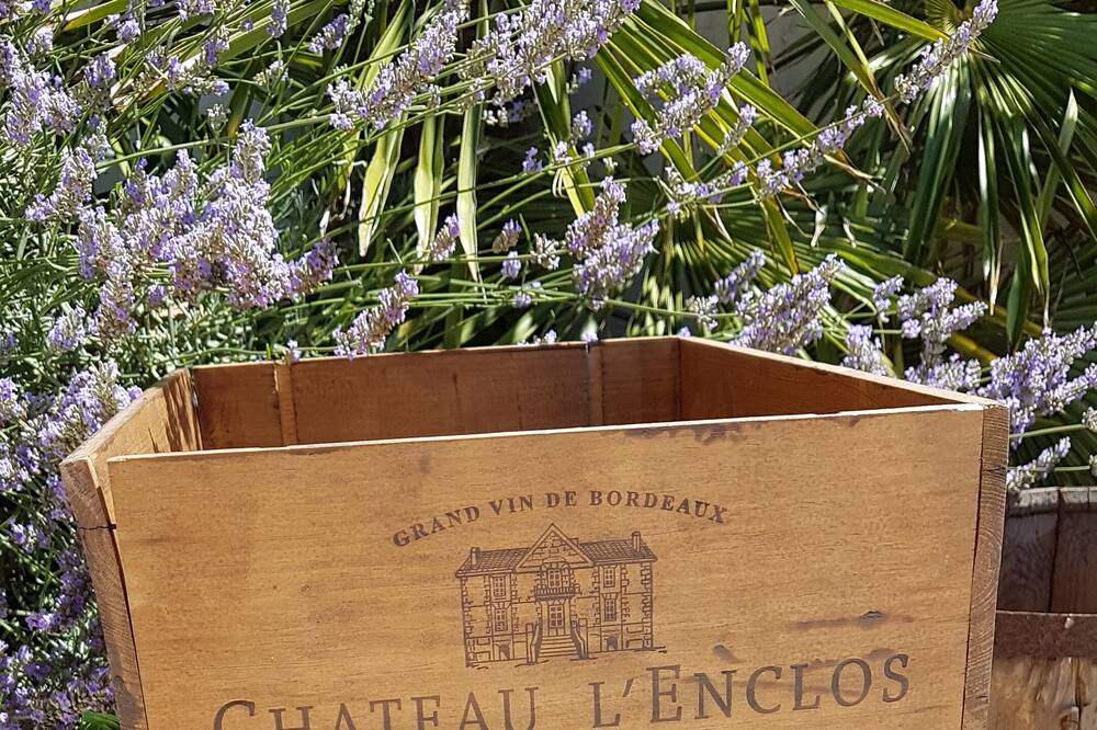 Photo of Others in Sud Charente