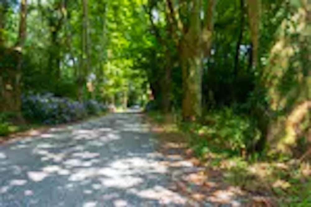Photo of Outdoor in Saint-Jean-de-Marsacq