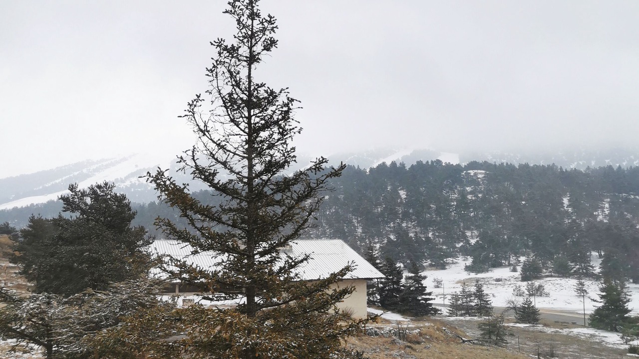 Photo of Others in Greolieres les Neiges