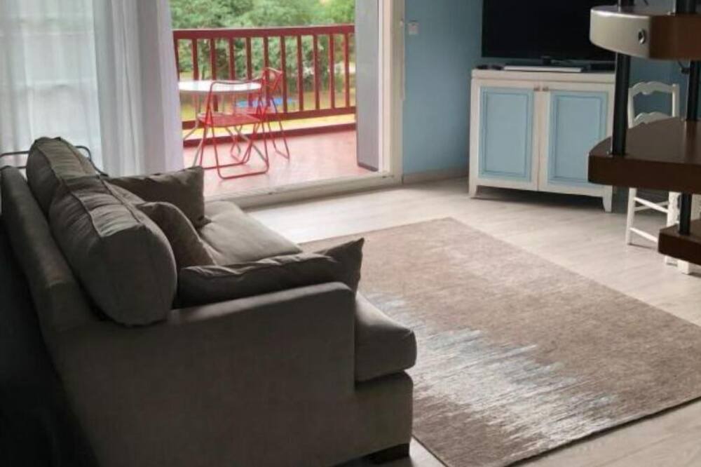Photo of Livingroom in Dax