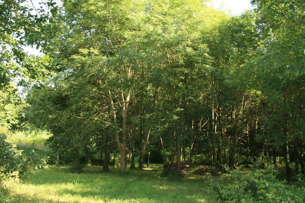 Photo of Outdoor in Pey