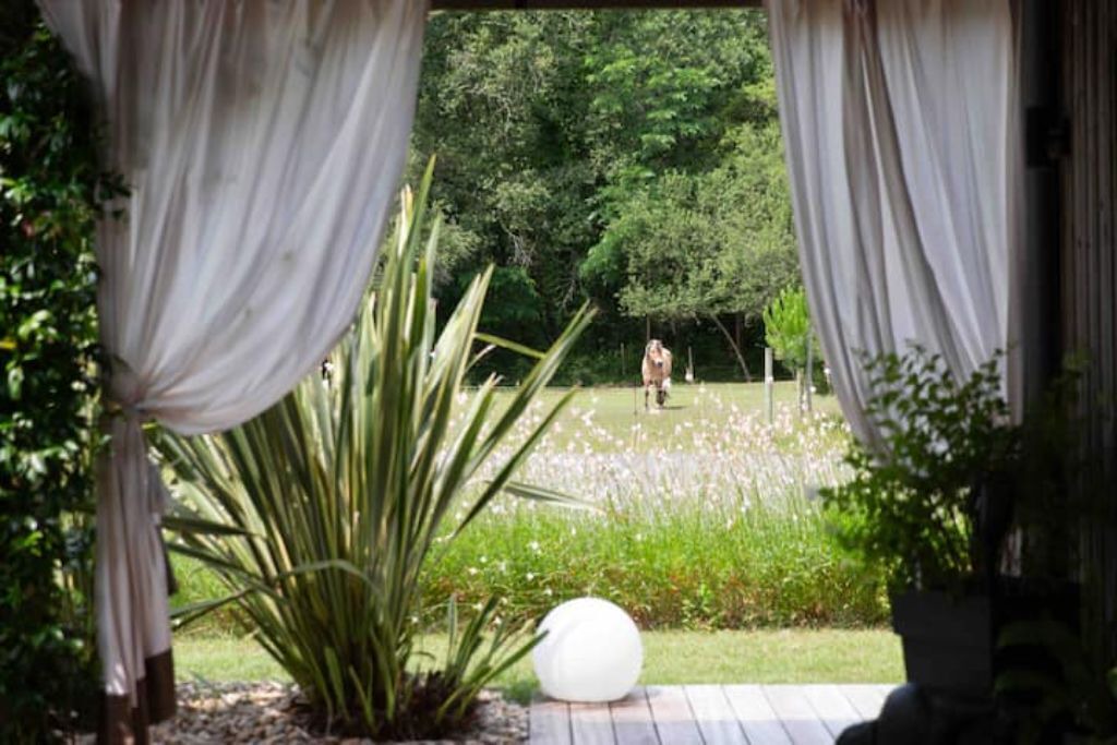 Photo of Outdoor in Civrac-de-Blaye