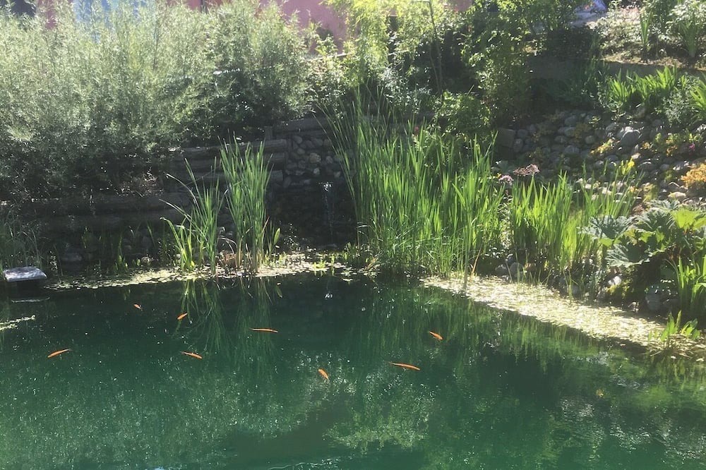 Photo of Outdoor in Saint-Boes