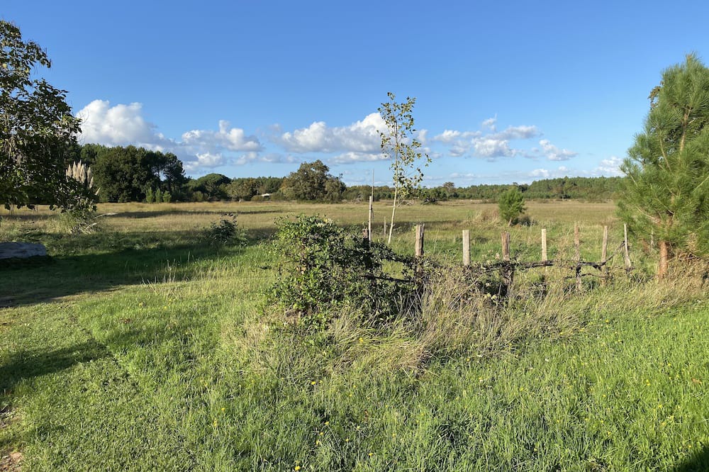 Photo of Outdoor in Gaillan-en-Medoc