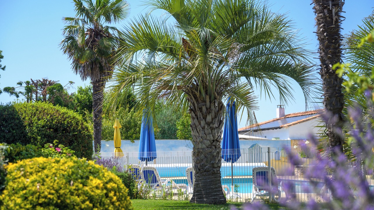 Photo of Outdoor in Sainte-Marie-de-Re