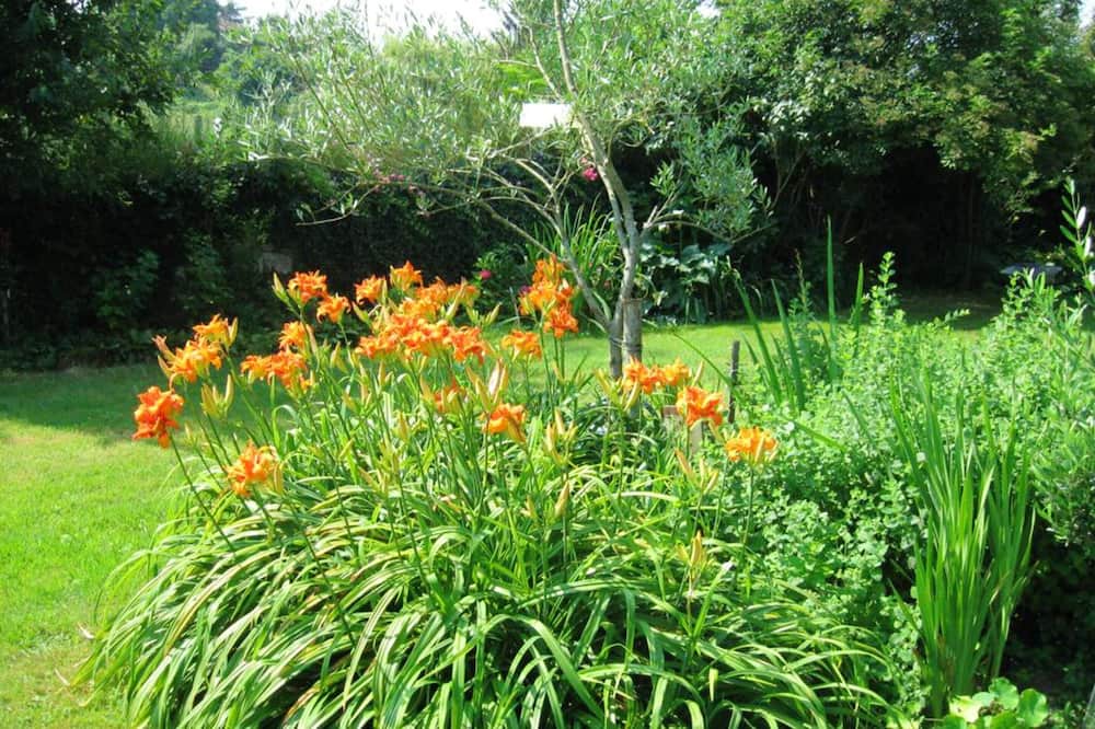 Photo of Outdoor in Blaignac