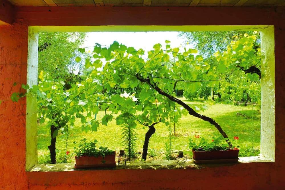 Photo of Others in Fayence