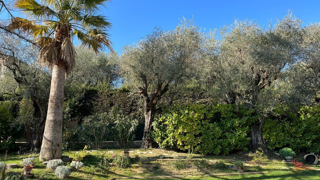 Photo of Outdoor in La Colle-sur-Loup