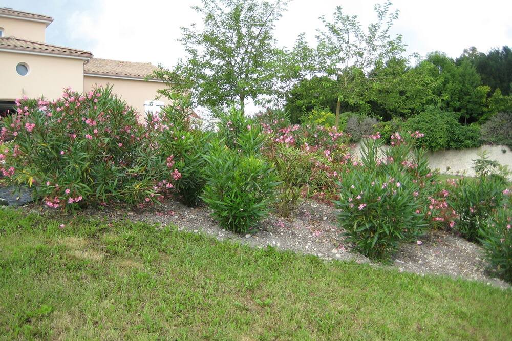 Photo of Outdoor in Segonzac