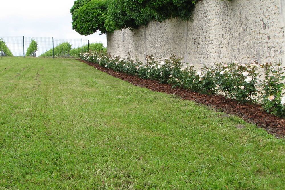 Photo of Outdoor in Segonzac