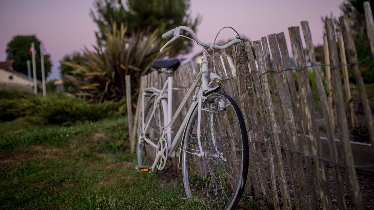 Photo of Outdoor in Saint-Cricq-Chalosse