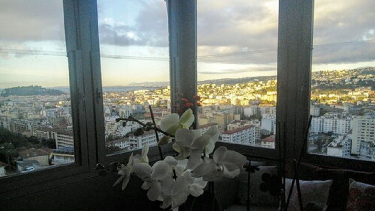 Photo of Others in Nice