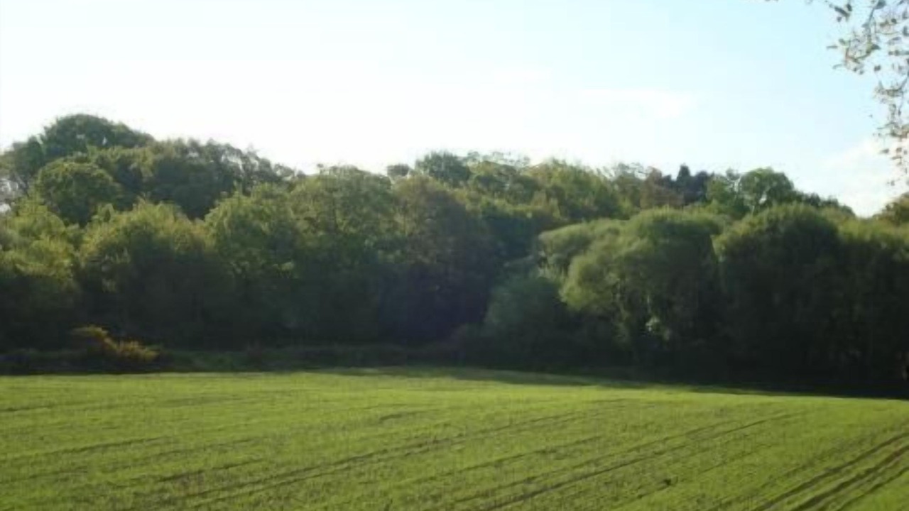 Photo of Outdoor in Saint-Nazaire