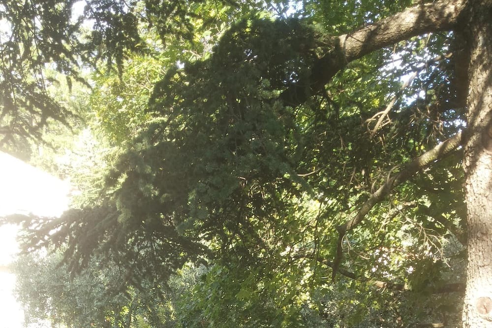 Photo of Outdoor in Saint-Vallier-de-Thiey