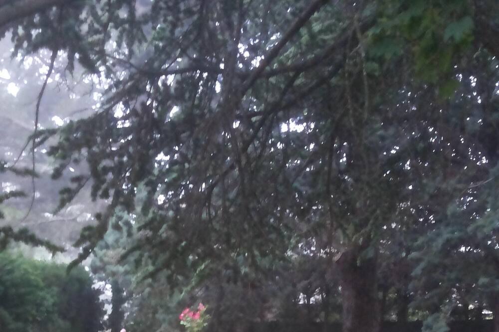 Photo of Outdoor in Saint-Vallier-de-Thiey