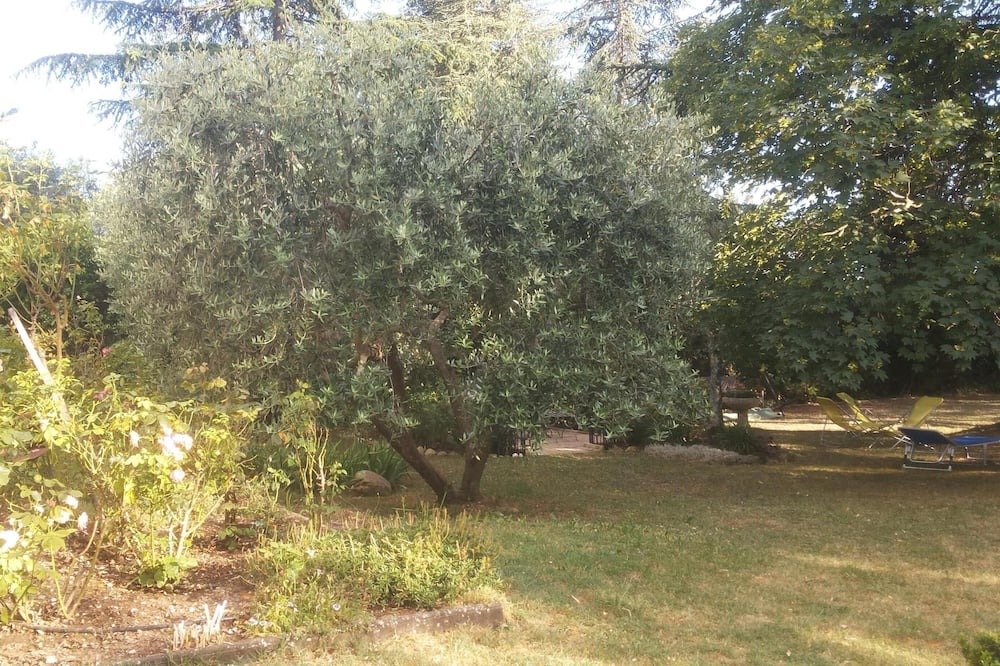 Photo of Outdoor in Saint-Vallier-de-Thiey
