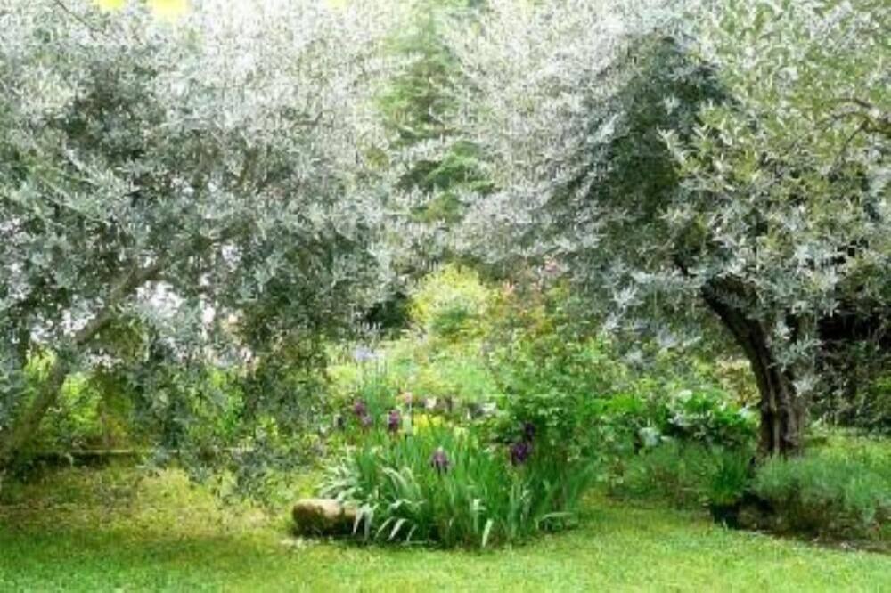 Photo of Outdoor in Saint-Vallier-de-Thiey