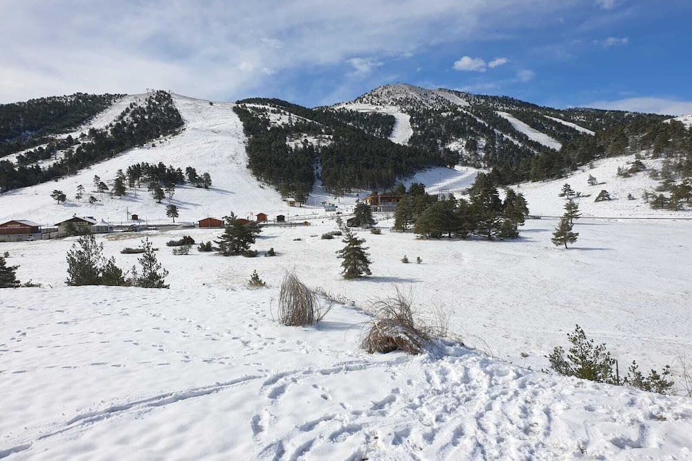 Photo of Others in Greolieres les Neiges