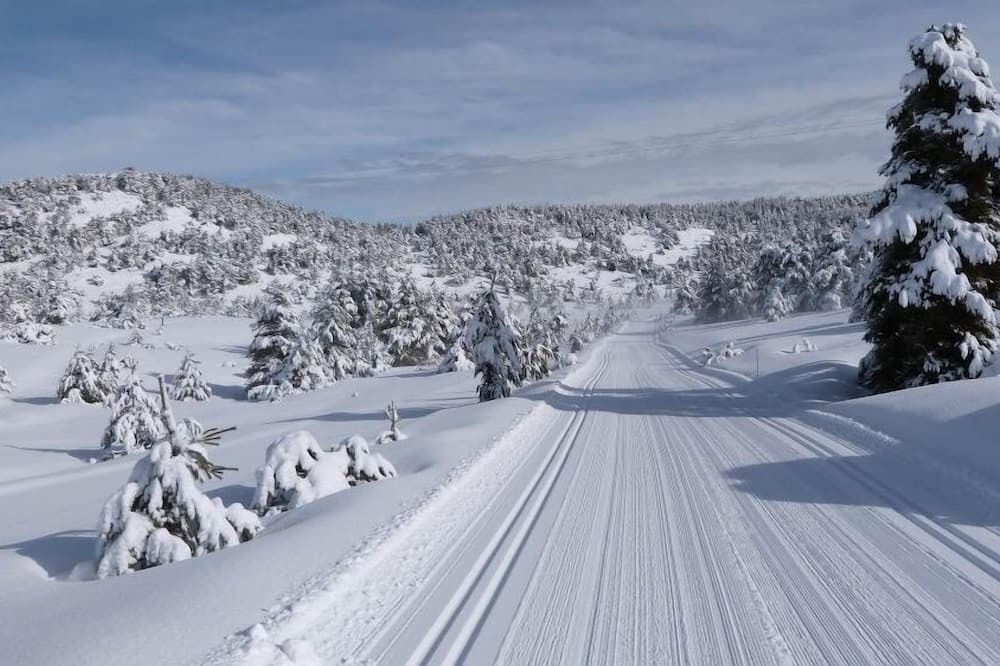 Photo of Others in Greolieres les Neiges