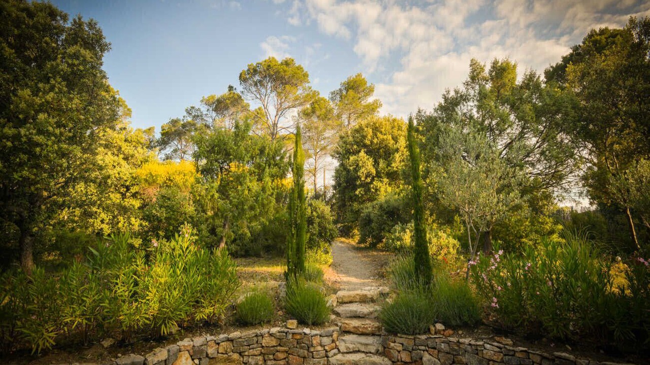 Photo of Outdoor in Lorgues