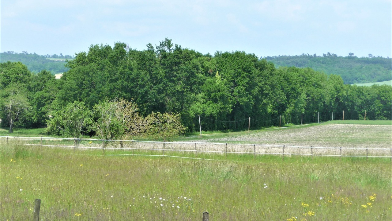 Photo of Others in Sud Charente