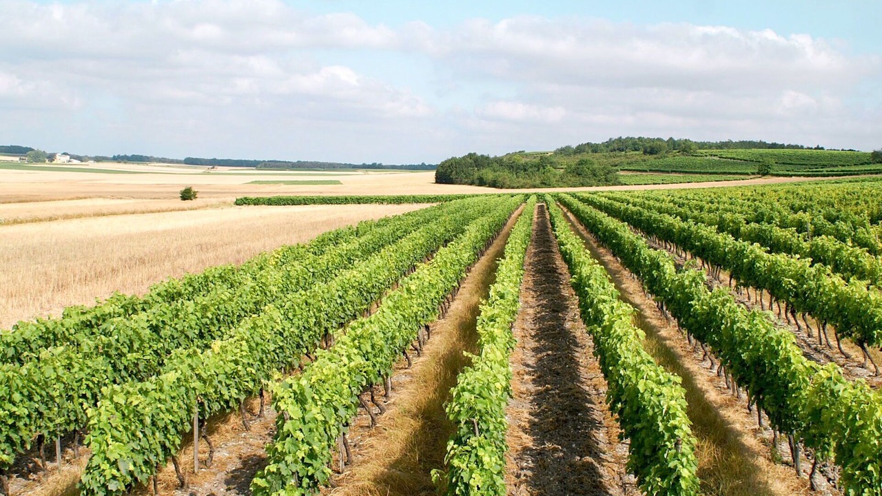 Photo of Outdoor in Jonzac
