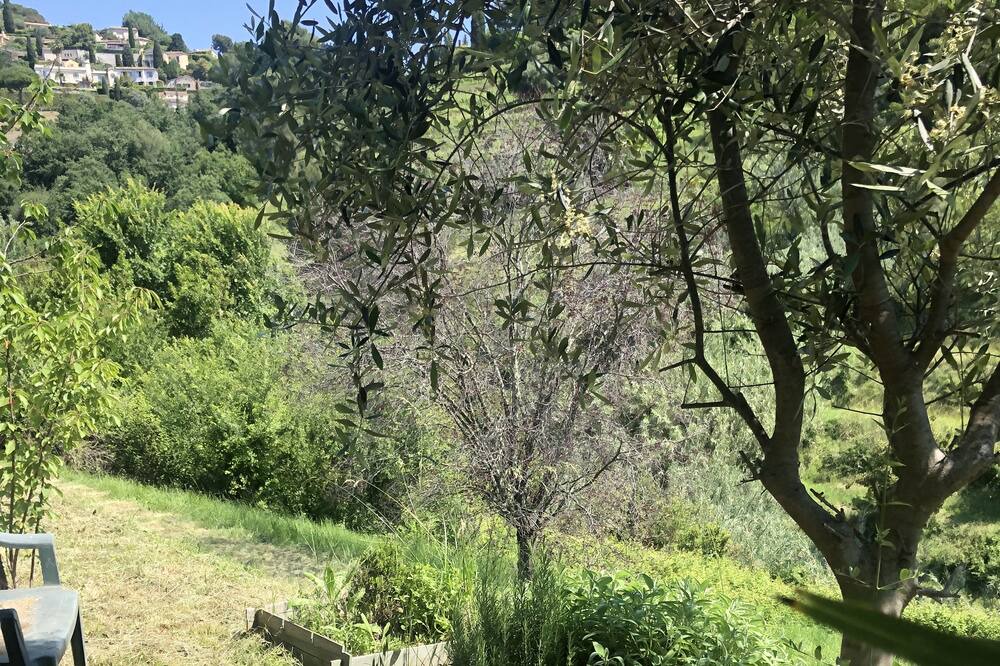 Photo of Outdoor in Saint-Paul-de-Vence