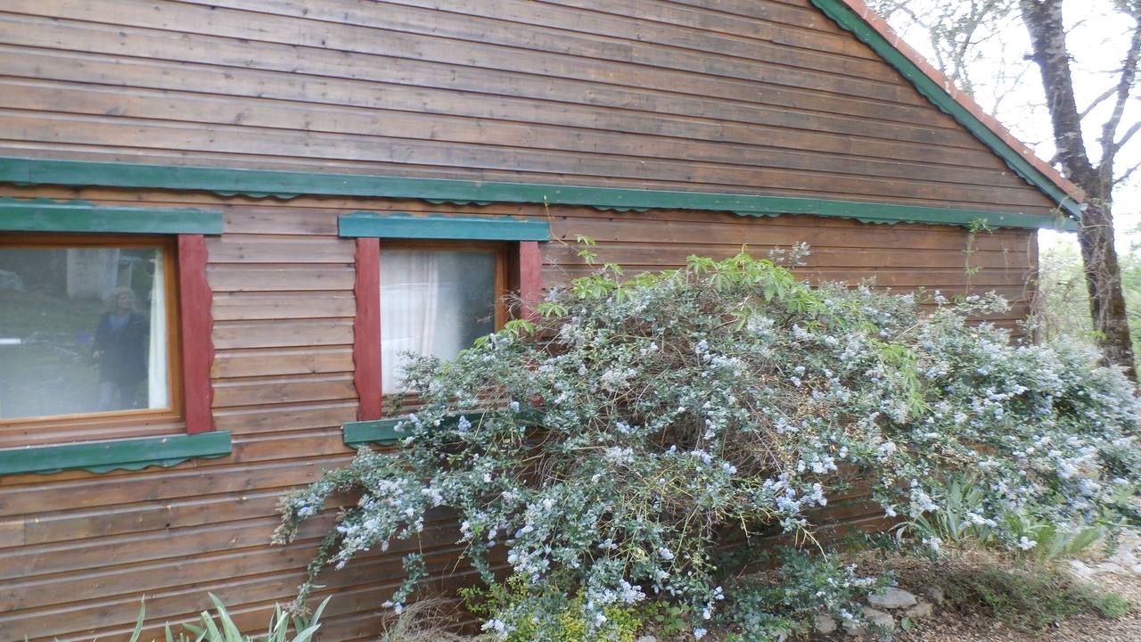 Photo of Outdoor in Chartrier-Ferriere