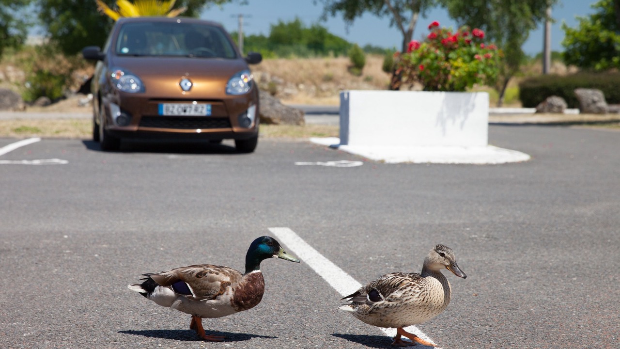 Photo of Others in Bordeaux-Lac