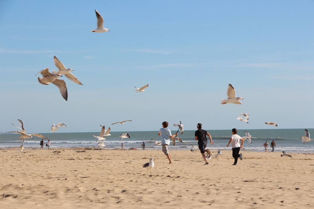 Photo of Others in Saint-Jean-de-Monts