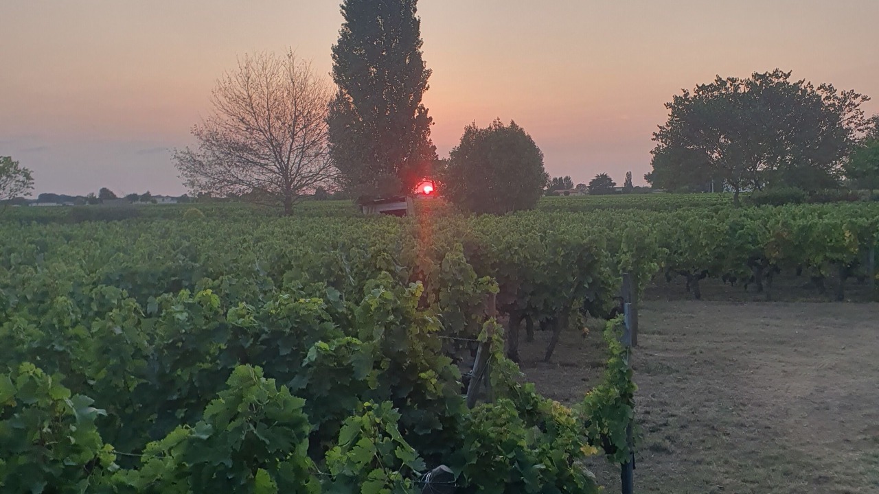 Photo of Outdoor in Saint-Emilion