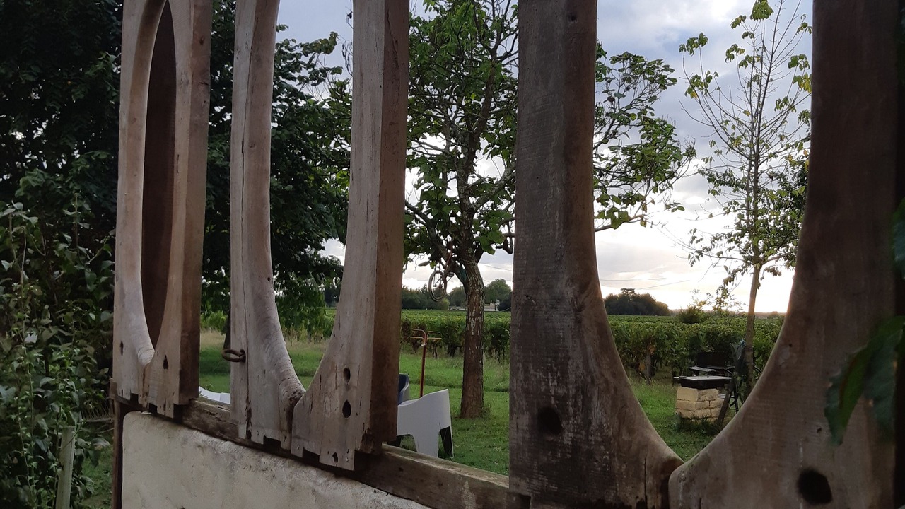 Photo of Outdoor in Saint-Emilion
