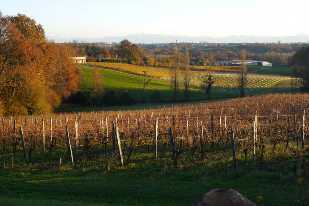 Photo of Outdoor in Benesse-les-Dax