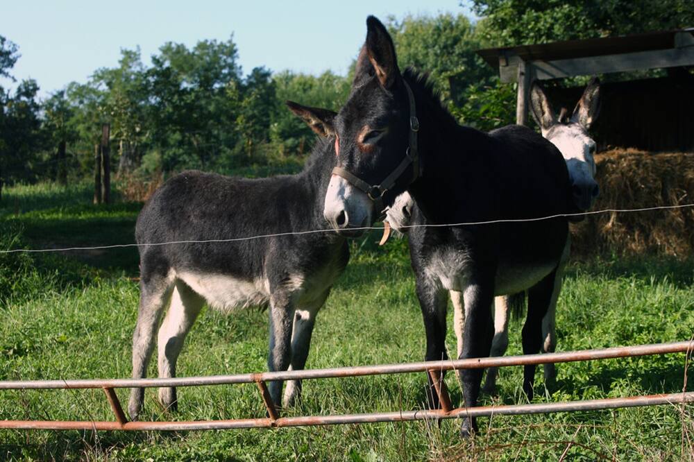 Photo of Others in Benesse-les-Dax