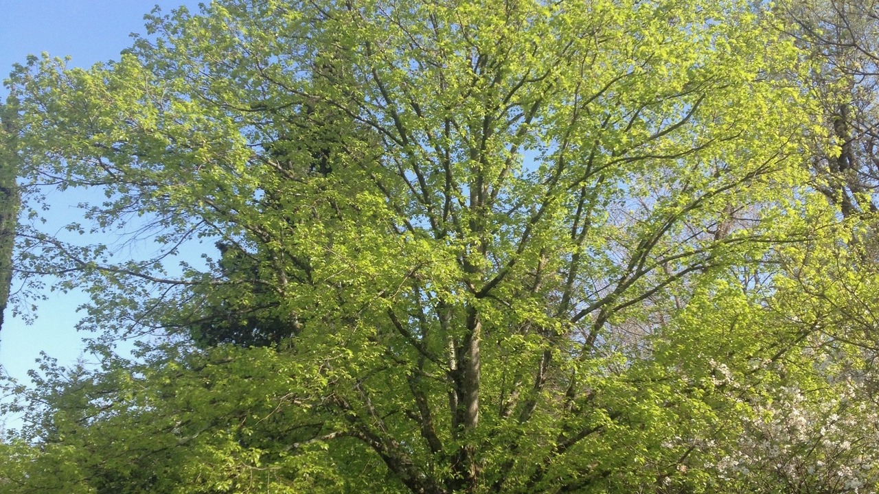Photo of Outdoor in Callian