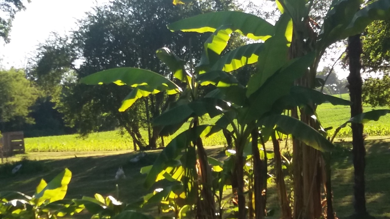 Photo of Outdoor in Pouillon