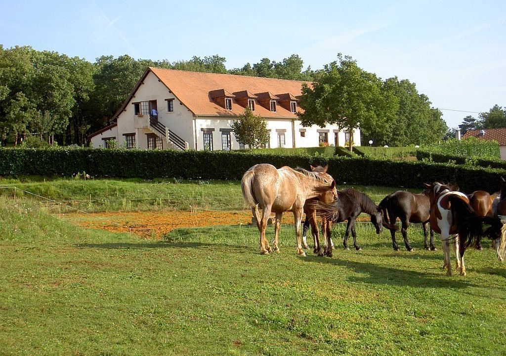 Photo of Outdoor in Nadaillac