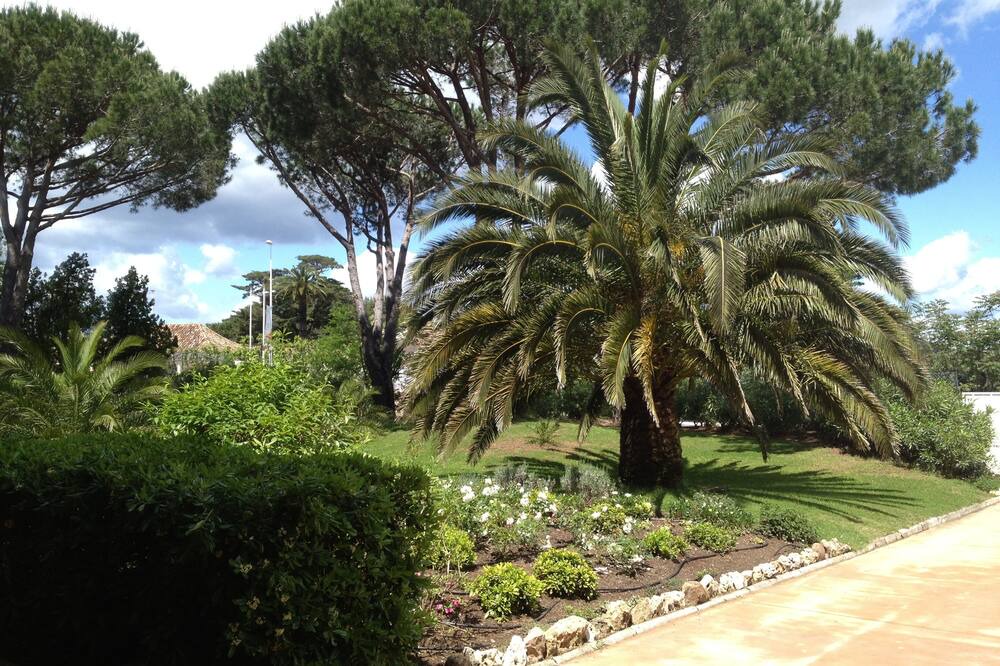Photo of Outdoor in Saint-Tropez